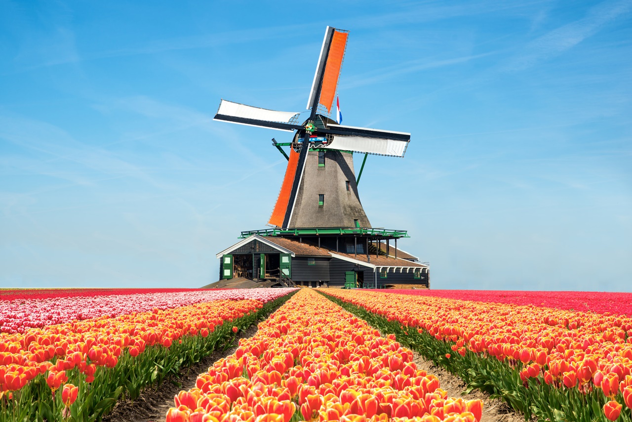 Đất nước Hà Lan xinh đẹp thu hút sinh viên học tập