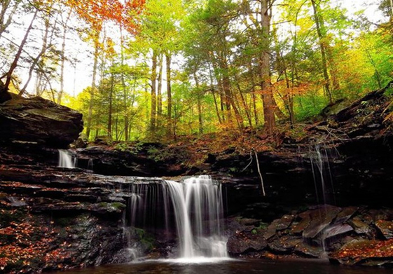 Trung tâm bang Pennsylvania nơi có mùa thu tĩnh lặng giữa không gian tinh khôi của rừng và thác nước