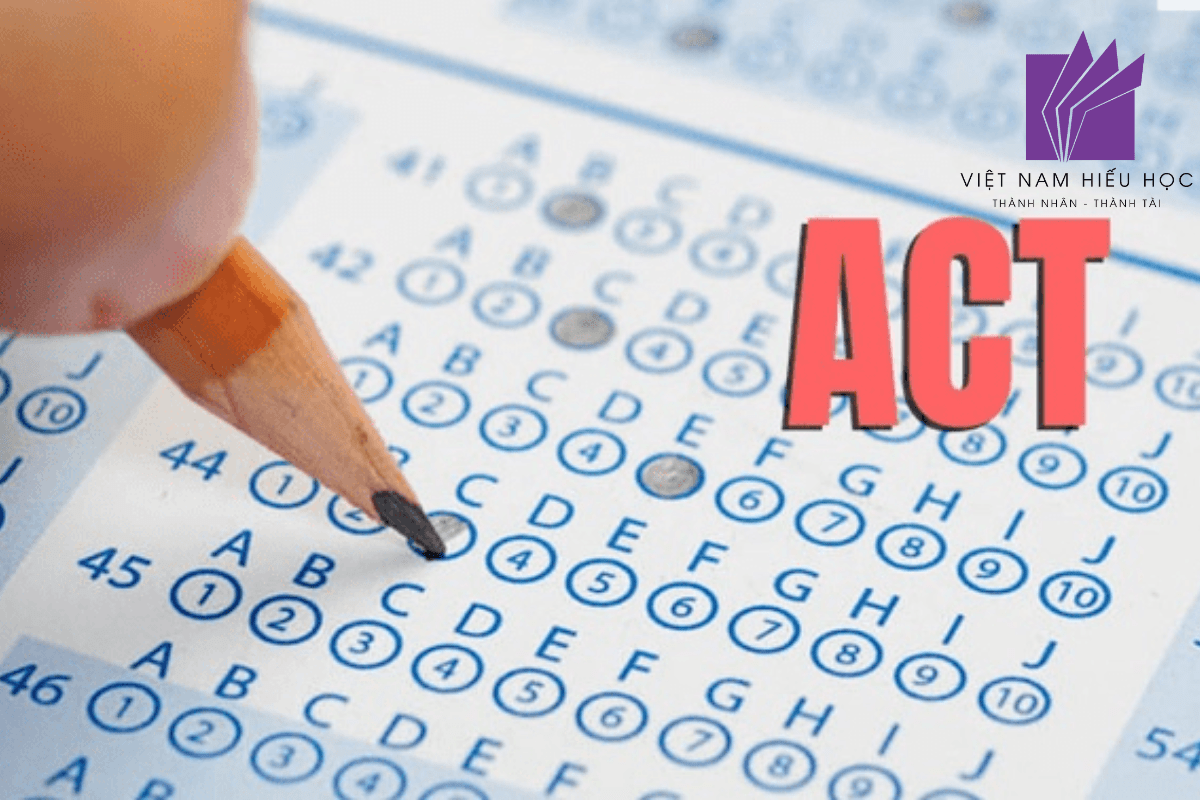 Top 35 Trường Đại Học Mỹ Không Yêu Cầu SAT/ACT