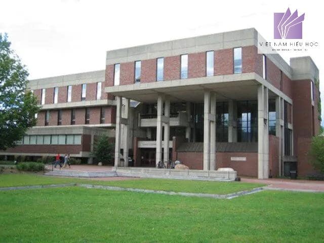 33 Trường Đại học Mỹ Không Yêu Cầu Bài Luận Bổ Sung